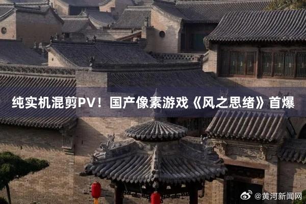 纯实机混剪PV！国产像素游戏《风之思绪》首爆