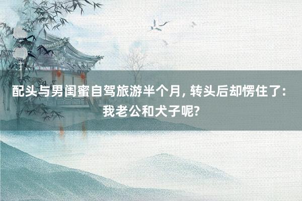 配头与男闺蜜自驾旅游半个月, 转头后却愣住了: 我老公和犬子呢?