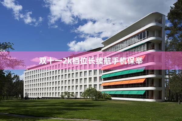 双十一2k档位长续航手机保举