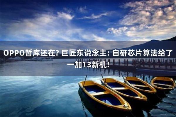 OPPO哲库还在? 巨匠东说念主: 自研芯片算法给了一加13新机!