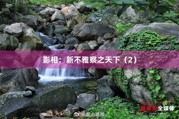 影相：新不雅察之天下（2）